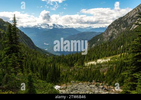 Vue imprenable sur les forêts luxuriantes de conifères et les montagnes accidentées de la Colombie-Britannique, sous un ciel dynamique. Banque D'Images