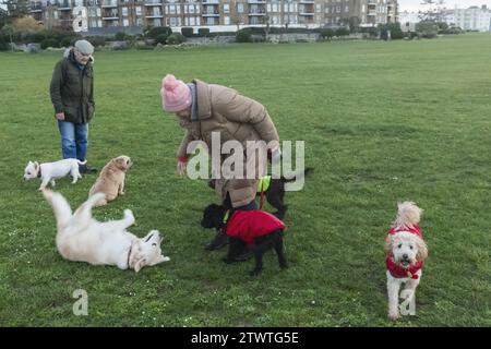 Angleterre, West Sussex, Littlehampton, chiens marcheurs âgés Banque D'Images