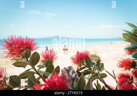 Pohutukawa fleurit encadrant l'île de Rangitoto. Personnes méconnaissables marchant sur la plage. Takapuna Beach. Auckland. Banque D'Images