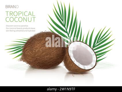 Vecteur réaliste de noix de coco tropicale, demi-noix de coco entière et brisée et feuilles de palmier vertes sur fond blanc brillant. Maquette de bannière ou de design d'emballage pour produits naturels ou cosmétiques biologiques Illustration de Vecteur
