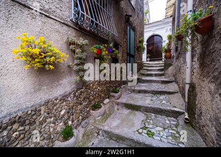 Ruelle étroite dans la ville de Morano Calabro, décorée de fleurs en pots. Banque D'Images