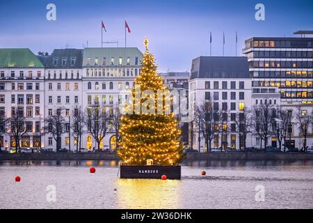 Alstertanne zur Weihnachtszeit auf der Binnenalster in Hamburg, Deutschland, Europa Banque D'Images