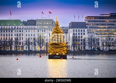 Alstertanne zur Weihnachtszeit auf der Binnenalster in Hamburg, Deutschland, Europa Banque D'Images