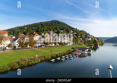 marcher le long de la longue rivière neckar Banque D'Images