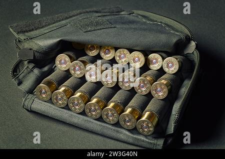 obus de fusil de chasse de calibre 12 utilisés pour la chasse. Concept militaire, tir sportif, chasse. Supports mixtes Banque D'Images