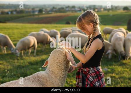 Fille nourrissant des moutons sur le pâturage. Animaux de ferme Banque D'Images