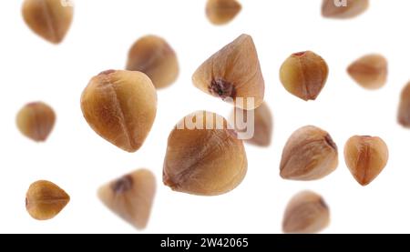 Sarrasin tombant sur fond blanc. Grains dans l'air Banque D'Images