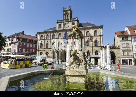 Altes Rathaus, Neptunbrunnen, Marktplatz, Weimar, Thüringen, Allemagne Banque D'Images