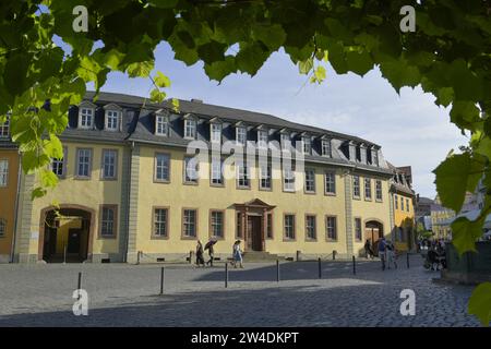 Wohnhaus Johann Wolfgang von Goethe, Frauenplan, Weimar, Thüringen, Allemagne Banque D'Images