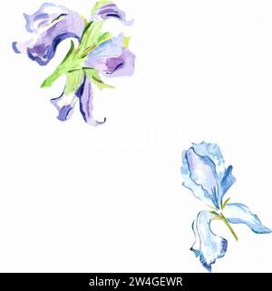 Aquarelle bleu et violet iris motif sans couture illustration dessinée à la main avec des fleurs de printemps pastel pour la conception textile ou papier d'emballage Banque D'Images