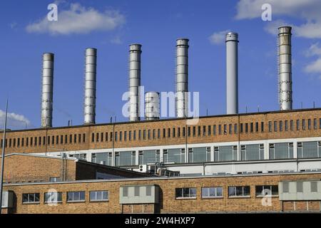 Kraftwerk, Hüttenwerk Arcelor Mittal, Eisenhüttenstadt, Brandebourg, Allemagne Banque D'Images