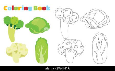 Coloriage. Ensemble de légumes chou, brocoli, chou-fleur et chou chinois. Illustration de Vecteur