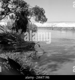 Dans la région de Jéricho. Sur le Jourdain à l'emplacement du site baptismal de Jésus-Christ ca. 1950-1955 Banque D'Images