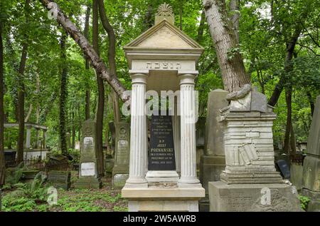 Pierres tombales, tombes d'honneur, cimetière juif rue Okopowa, Varsovie, voïvodie de Mazowieckie, Pologne Banque D'Images