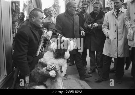 Musicien de rue aveugle avec chien à Amsterdam ca. 21 décembre 1972 Banque D'Images