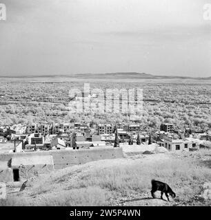 Aperçu d'une banlieue de la ville de Damas ca. 1950-1955 Banque D'Images