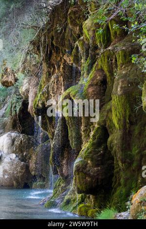 Naissance de la rivière Cuervo à Vega del Codorno Banque D'Images