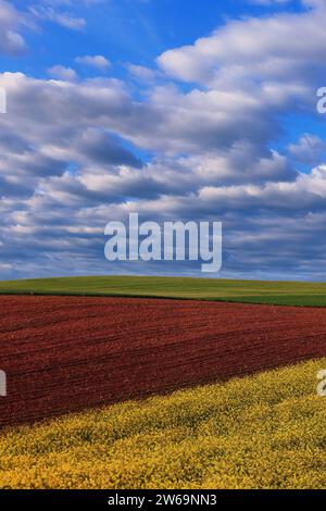 Scène de campagne tranquille avec un riche champ labouré brun au premier plan et un champ de culture vert luxuriant sous un ciel rempli de nuages Banque D'Images