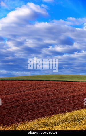 Scène de campagne tranquille avec un riche champ labouré brun au premier plan et un champ de culture vert luxuriant sous un ciel rempli de nuages Banque D'Images