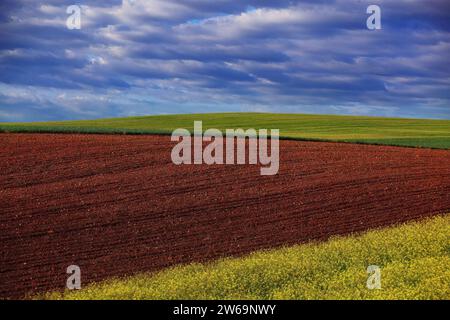 Scène de campagne tranquille avec un riche champ labouré brun au premier plan et un champ de culture vert luxuriant sous un ciel rempli de nuages Banque D'Images