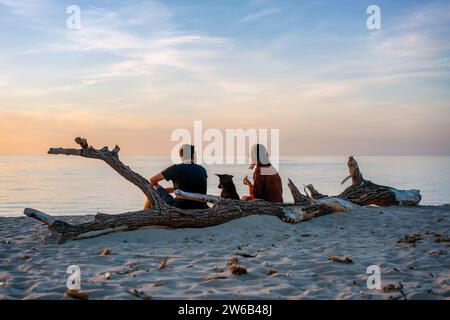Vue arrière d'un couple anonyme dans des tenues décontractées avec chien se relaxant par du bois flotté sur la plage de sable et admirant le magnifique paysage marin sous le ciel pendant le coucher du soleil Banque D'Images