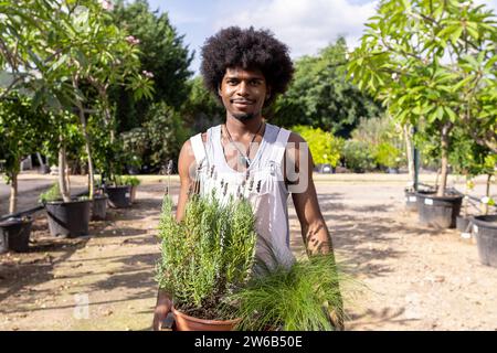 Portrait de sourire jeune agronome noir confiant avec coiffure afro tenant des plantes vertes tout en se tenant à la serre organique pendant la journée ensoleillée an Banque D'Images