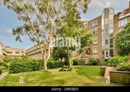Un parc urbain serein en été avec de l'herbe verte luxuriante, de grands arbres, un banc en bois et des immeubles résidentiels modernes en arrière-plan Banque D'Images