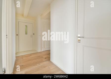 Un couloir minimaliste lumineux et moderne avec des murs blancs épurés et du parquet naturel, avec des portes et des boiseries. Banque D'Images