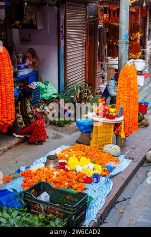 Petit magasin local en bord de route vendant des soucis et des fleurs pour des guirlandes et des cérémonies religieuses dans le district de Pashupatinath, Katmandou, capitale du Népal Banque D'Images