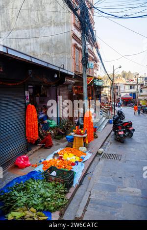 Petit magasin local en bord de route vendant des soucis et des fleurs pour des guirlandes et des cérémonies religieuses dans le district de Pashupatinath, Katmandou, capitale du Népal Banque D'Images