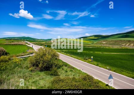 La route terrestre Strada statale 655 Bradanica menant à travers le paysage agricole de Basilikata. Banque D'Images