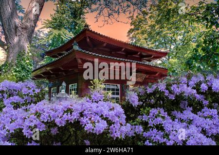 Jardin japonais, Leverkusen, Rhénanie du Nord-Westphalie, Allemagne, Europe, altéré numériquement Banque D'Images