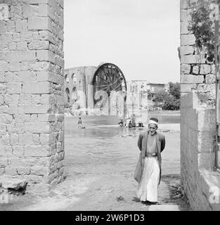 Roue à eau en bois sur les Orontes à Hama. Enfants jouant dans la rivière ca. 1950-1955 Banque D'Images