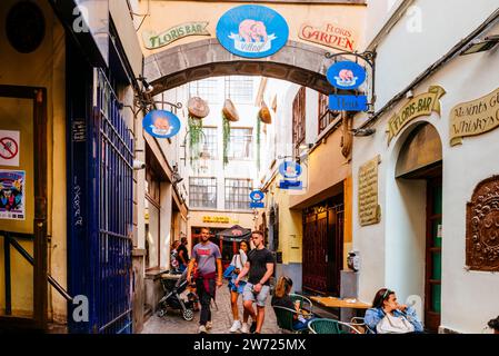 L'étroite et animée Fidelity Alley, impasse de la fidélité, ruelle où se trouvent la fontaine Jeanneke Pis et le café Deliruium. Bruxelles, Brus Banque D'Images