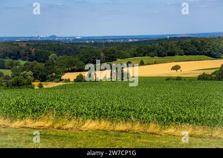 Vue panoramique en direction ouest sur le Schweiz Elfringhauser, Hattingen, frontière de la ville à Sprockhövel, en arrière-plan Gelsenkirchen, Halde Obersch Banque D'Images