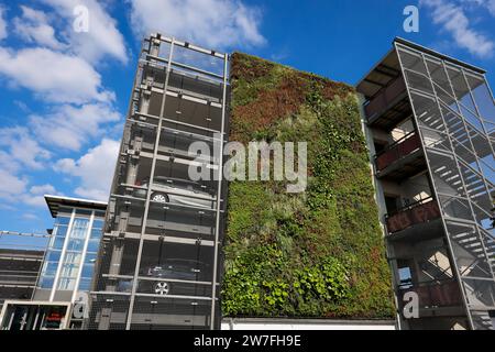 22.09.2023, Allemagne, Bottrop, Rhénanie du Nord-Westphalie - verdissement mural de faÁade sur le parking P+R de la gare de Bottrop. Les plantes sur le 80 squar Banque D'Images