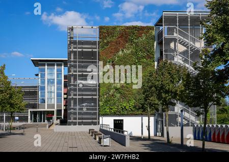 22.09.2023, Allemagne, Bottrop, Rhénanie-du-Nord-Westphalie - verdissement de faÁade en direction du mur au parking P+R de la gare de Bottrop. Les plantes sur la place 80 Banque D'Images