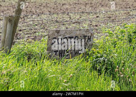 Un panneau de sentier envahi dans un champ, Cornwall, Angleterre, Royaume-Uni Banque D'Images