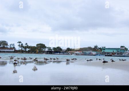 La beauté de Cabo Frio Banque D'Images