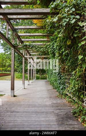 Pergola en bois à motif lierre sur la passerelle Serene Garden Banque D'Images