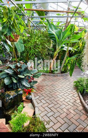 Oasis tropicale de serre avec sentier en briques et feuillage luxuriant Banque D'Images