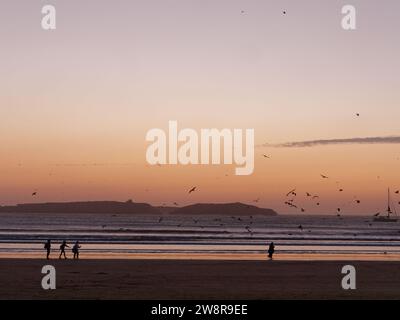 Les gens marchent sur une plage de sable au coucher du soleil en silhouette avec de nombreux oiseaux et une île derrière à Essaouira 'la ville venteuse', Maroc. 21 décembre 2023 Banque D'Images