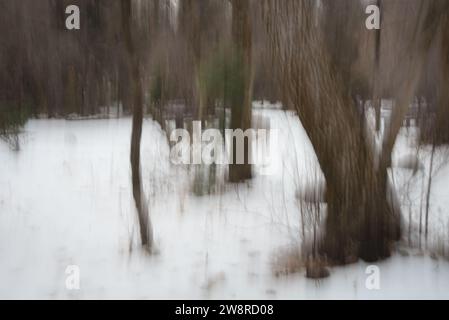 Images abstraites de paysage forestier en hiver. Les images peintes sont créées à l'aide d'un mouvement vertical ou horizontal de la caméra pendant l'exposition. Banque D'Images