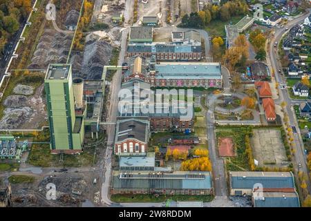 Vue aérienne, ancienne mine DSK Lippe Westerholt, Egonstraße, aux limites de la ville de Gelsenkirchen, entourée d'arbres caduques d'automne, Hassel, Gelsen Banque D'Images