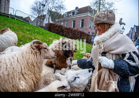 16 décembre, Deventer. Chaque année, vers cette date, le monde du 19e siècle de l'écrivain anglais Charles Dickens revit dans la belle ville hollandaise de Deventer. Plus de 950 personnages des célèbres livres de Dickens remontent à la vie. Riches dames et messieurs avec des chapeaux de tête défilent dans les rues. Le paysage du festival se compose de bâtiments historiques, de sapins de Noël et de milliers de petites lumières. Non seulement dans la rue, mais aussi derrière les fenêtres, dans les maisons, et dans les petites boutiques et galeries, le temps romantique de Dickens est de retour à la vie. Cette année était la 31e édition de t Banque D'Images