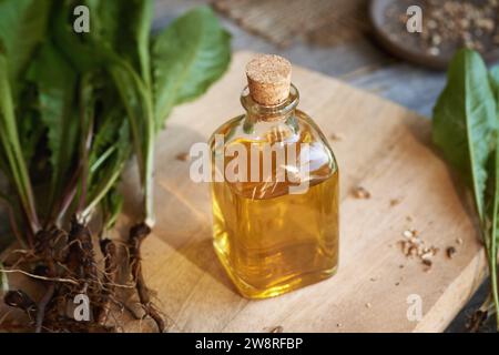 Une bouteille en verre transparent de teinture à base de plantes avec des racines et des feuilles fraîches de pissenlit Banque D'Images