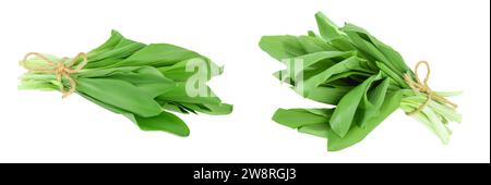 Bouquet de légumes Ramson isolé sur fond blanc avec pleine profondeur de champ Banque D'Images