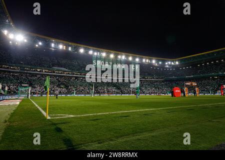 Fans lors du match de Liga Portugal 23/24 entre le Sporting CP et le FC Porto, Estadio Jose Alvalade, Lisbonne, Portugal. (Maciej Rogowski) Banque D'Images