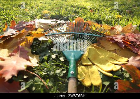 Râteau et chute des feuilles sur l'herbe à l'extérieur, gros plan Banque D'Images