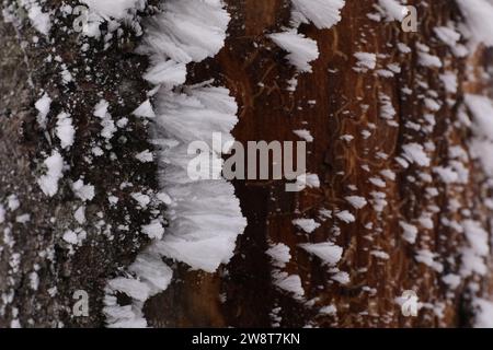 Mur en bois recouvert d'hoarfrost le jour de neige, closeup Banque D'Images